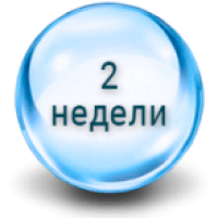 Двотижневі