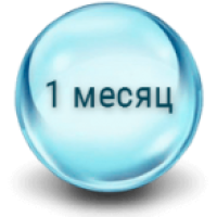 На 1 місяць